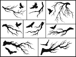 set of branches and birds