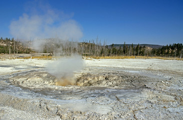 Yellowstone