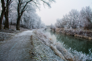 City Park natural cycle route frozen trees in winter Slovakia Europe