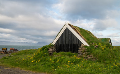 Obraz premium Typical icelandic houses