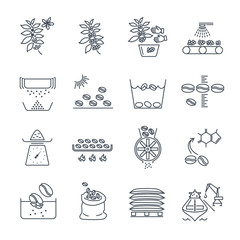 set of thin line icons coffee production and processing