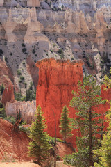 Cheminées de fées / Utah / USA