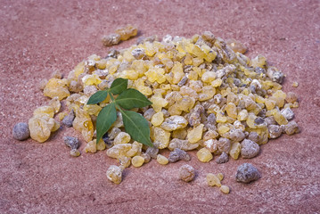 Frankincense (Boswellia Papyrifera), resin and leaves, Incense f