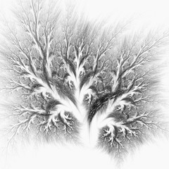 Fairy tree. Beautiful branch. Frost patterns. 3D surreal illustration. Sacred geometry. Mysterious psychedelic relaxation pattern. Fractal abstract texture. Digital artwork graphic astrology magic