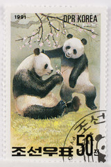 Timbre / Grand panda