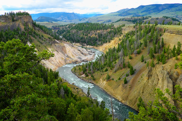 Fototapeta premium yellowstone national park