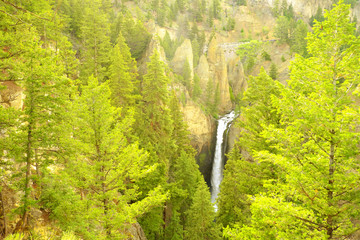 yellowstone national park
