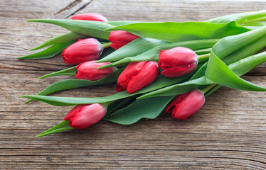 Red tulips on wooden background