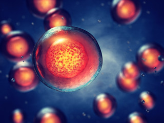 Embryonic stem cells , Cellular therapy , Regeneration and disease treatment  © nobeastsofierce