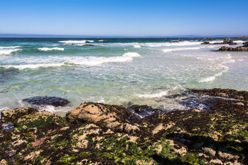 Fototapeta na wymiar Monterey coast, California