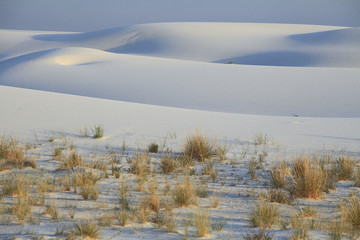 Dunes et désert de sable blanc /Nouveau Mexique / USA