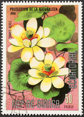Philatélie / Nelumbo lotus / Lotus