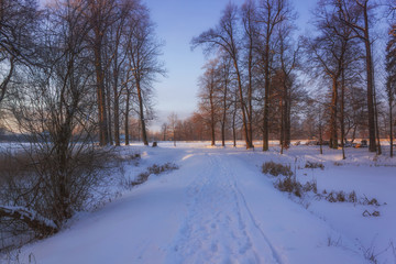 Winter Wonderland in morning light of the sunrise