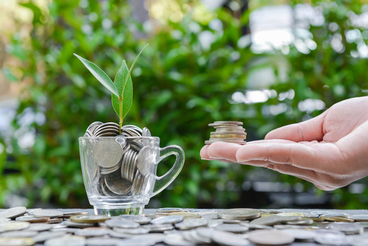 Woman hand putting the coin in the glass with growing plant - Concept of saving money