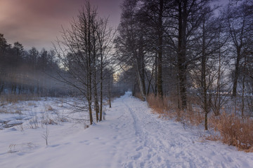 Fototapeta na wymiar Winter Wonderland in morning light of the sunrise