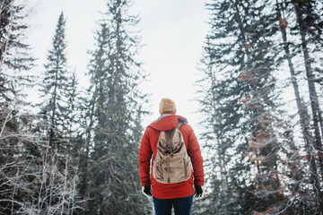 Hiking man with bagpack is stand in winter forest. Back view