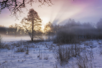 Obraz na płótnie Canvas Winter Wonderland in morning light of the sunrise