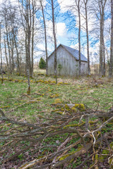 Wooden shed with branches on the ground