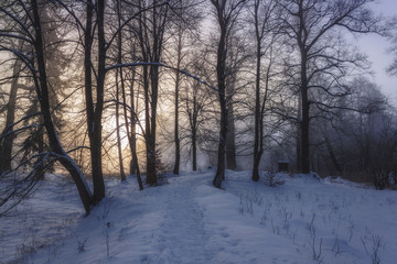 Winter Wonderland in morning light of the sunrise