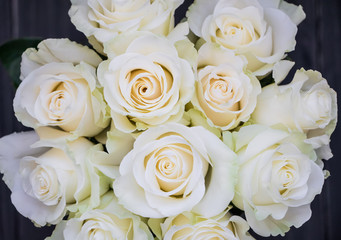 Fototapeta na wymiar Perfect bouquet of creme luxurious roses for wedding, birthday or Valentine's day. Top view