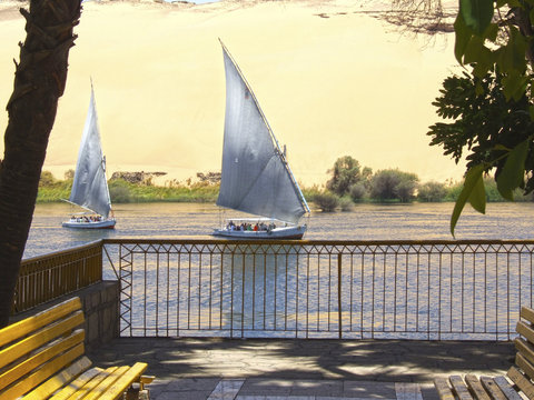 feluca sailing on the nile