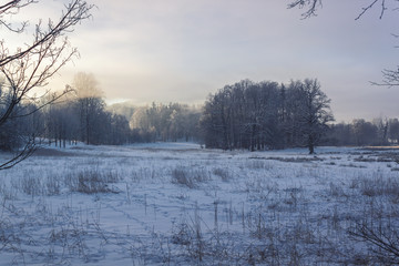 Winter Wonderland in morning light of the sunrise