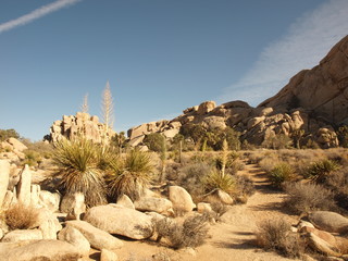 Sunrise in the desert