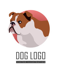 Bulldog Dog Logo on White Background