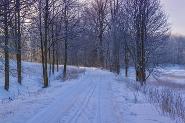 Obraz premium Winter Wonderland in morning light of the sunrise