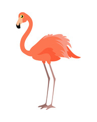 Pink Flamingo Vector Illustration. Wading Bird