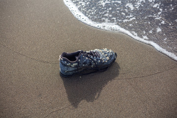 Fototapeta na wymiar wet trainer with seashells on the sandy beach