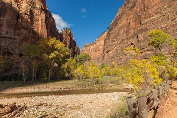Autumn in Zion National Park Utah