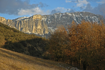 Chamaloc