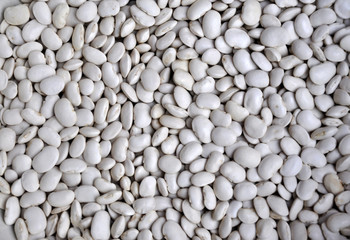 A large white beans varieties Yas'ko dry bulk grain