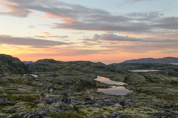 Sunset on the tundra in the summer. - obrazy, fototapety, plakaty