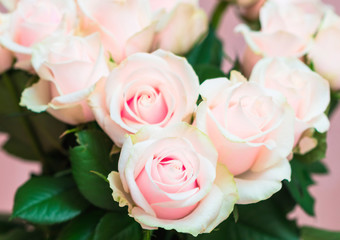 Bouquet of beautiful natural pink roses close up on a soft pink pastel background. Valentines Day romantic concept. Copy space