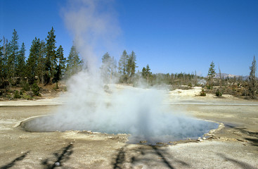 Yellowstone
