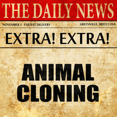 animal cloning, article text in newspaper