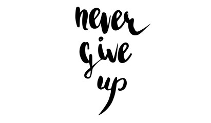 Fototapeta premium Vector handwritten brush script. Black letters isolated on white background. Never give up