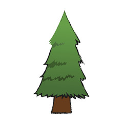 pine tree icon over white background. vector illustration