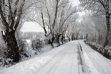 chemin enneigé
