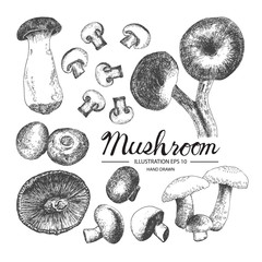 Mushroom hand drawn collection by ink and pen sketch. Isolated vector design for fruit and vegetable products and health care goods.