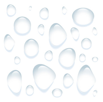 Clear transparent water drops isolated on the white background.