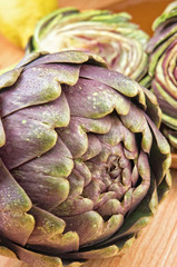 Fototapeta premium Raw artichokes on the kitchen table