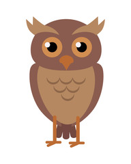 Owl Vector Illustration in Flat Design