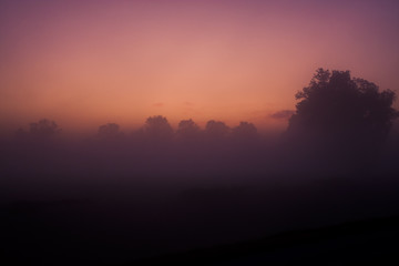 Fog