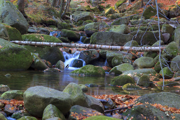 Autumn stream in the forest