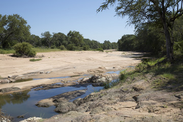 Landscape in Kruger National Park South Africa