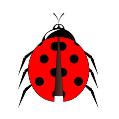 Obraz premium Ladybug small icon vector illustration