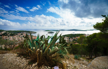 Cactus, amazing sky and panoramic view of Hvar city and the bay from the Spanish fortress.